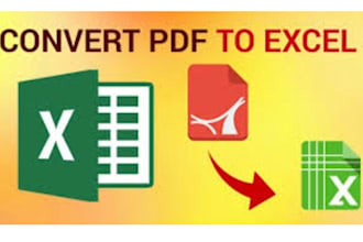 do accurate data entry, excel spreadsheets, and file conversions