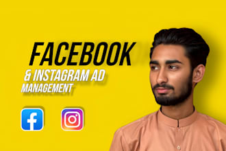 be your facebook, instagram, meta ads campaign manager