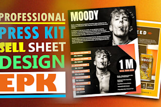 design premium epk, media kit, press kit, and epic flyers for musicians, artists