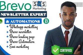 klaviyo, brevo, hubspot, twilio email marketing and whatsapp bulk sms marketing