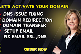 connect the domain dns issue fixing and set up email