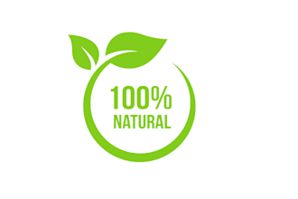 create an illustration for a nature logo