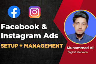 facebook instagram meta ads campaign manager,  marketing expert
