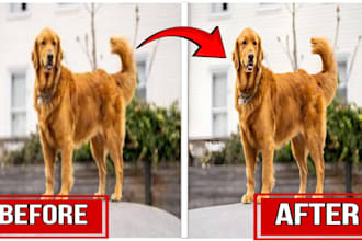 professional photo enhancement and restoration