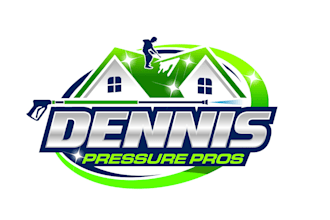 create awesome and gorgeous pressure and soft washing logo design