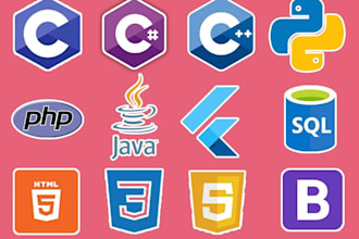 complete your c, cpp, c sharp, java, r, and python programming projects