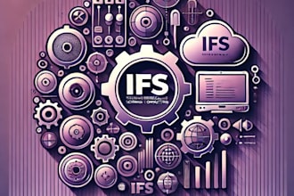 provide expert ifs technical consulting