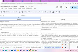 translate english to french and french to english