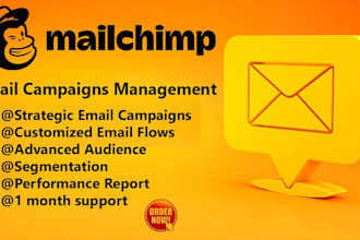 provide mailchimp email marketing to boost your revenue