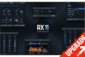 professionally restore and clean your audio with izotope suite