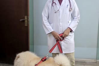 top rated veterinary services for dogs cats and more  comprehensive pet care