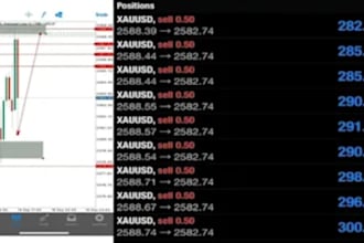 create forex expert advisors tailored to your strategy for mt4 , mt5