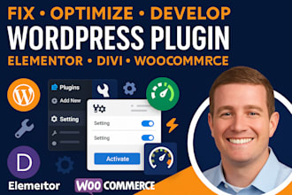 fix optimized develop custom wordpress plugin divi elementor woocommerce website
