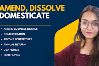 dissolve, domesticate, revoke forfeiture, amend llc, corp in USA