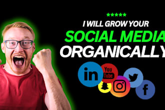 boost social media accounts and increase follower and do social media manager