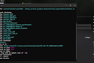 create you a proffesional server for assetto corsa