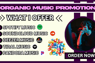 blast out email campaign 30k audience to promote your spotify music