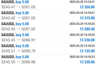 build a profitable forex trading bot, forex ea trading bot, forex robot, gold ea