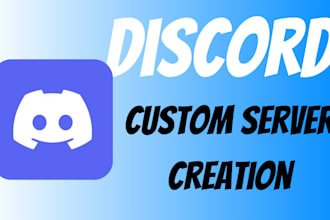 do professional discord server setup