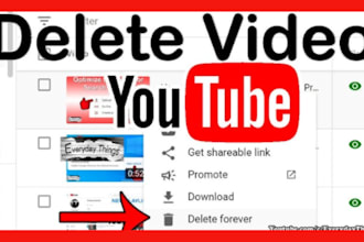 specializing in permanent youtube video removal and unwanted link deletion