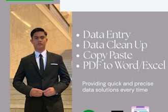 do excel data entry typing, copy paste, excel data cleaning