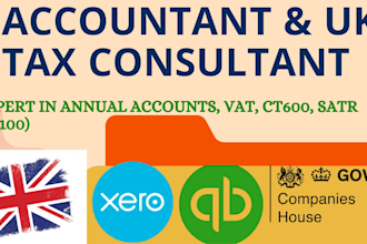 prepare and file UK amazon seller company accounts and tax returns