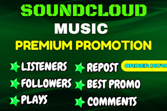 organically promote soundcloud song to highly curated music community