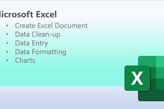 excel basic dashboards, data cleanup, remove duplicates, graphs charts