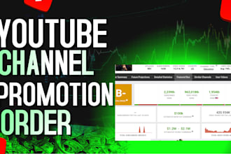 rank and promote your instagram, x, youtube, tiktok real follower