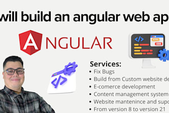 build a custom saas or web app with angular