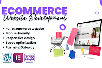 build  SEO optimized ecommerce store or professional website