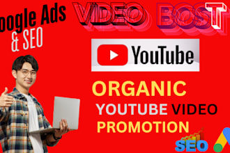provide organic youtube promotion for more view