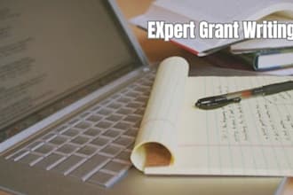 grant proposal writing, grant research, rfp application and write business plan