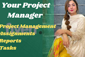 help in project management assignments reports and tasks