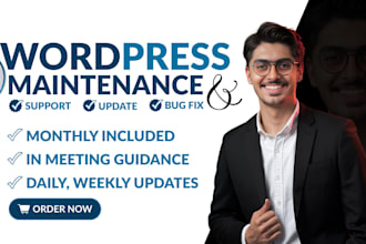 do wordpress website maintenance and wordpress security, bug fixing