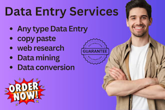 do fast and accurate data entry in ms excel ,access, etc