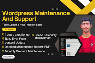 provide wordpress website maintenance and support services
