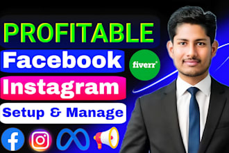 setup and manage high ROI facebook  instagram ads