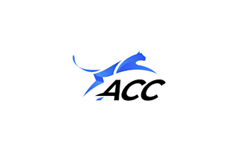 design a professional credit repair, accounting, and financial logo