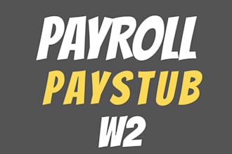 make paystub, pay checks, stubs, payroll slip, w2