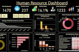 do data analyst on power bi, tableau, google analytics etc