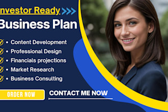 write your investor ready business plan