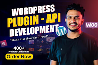 do custom plugin development or API integration