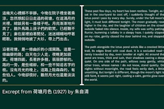 translate chinese to english accurately