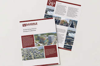 design a professional flyer that tailors content to your vision