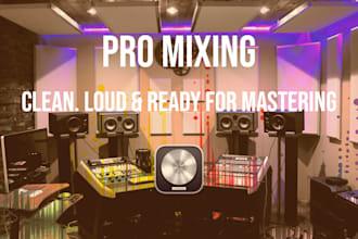 professionally mix your track for a clean and punchy sound
