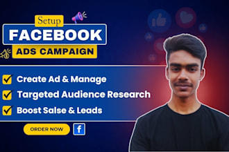 setup and manage facebook ads campaign ig ads for sales and leads