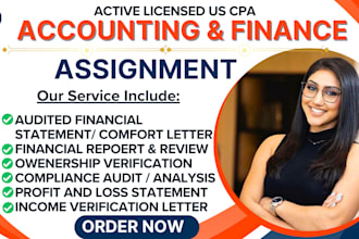 do accounting and finance assignment, financial statement analysis, excel report