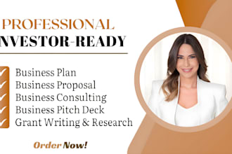 write funding investor ready business plan