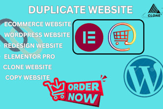 do clone copy website design website and rebuild duplicate wordpress elementor